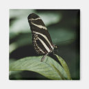 Recherche de équilibre maison deco Papillon