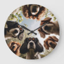 Recherche de animaux drôles horloges Pour tous