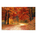 Suche nach herbstwald poster Bunt