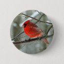 Recherche de faune badges Oiseau