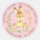 Recherche de lapin bébé autocollants Baby