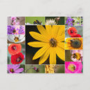 Suche nach gartenliebhaber postkarten Quelle