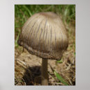 Recherche de champignon comestible posters Tabouret