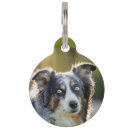 Suche nach hinten hundezubehör Modern