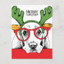 Suche nach basset hound postkarten Hund