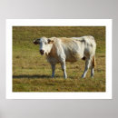 Suche nach blondinen poster Bauernhof