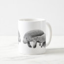 Recherche de veau tasses Nature