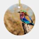 Suche nach flieder ornamente Vogel