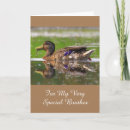 Suche nach für bruder karten Natur