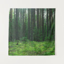Suche nach taiga poster Wald