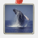 Recherche de baleine ornements Océan