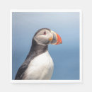 Recherche de macareux serviettes Nature