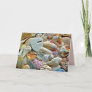 Suche nach muscheln karten Natur