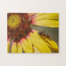 Recherche de fourmis puzzles Pour enfants