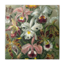 Suche nach orchid fliesen Natur