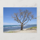Suche nach bojen postkarten Strand