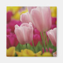 Suche nach keukenhof magnete Lisse