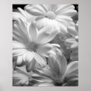 Suche nach keukenhof poster Niederlande