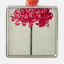 Suche nach amaryllis ornamente Blume