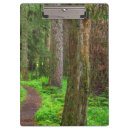 Suche nach der wald klemmbrett Grün