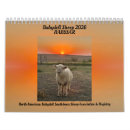 Suche nach schafe kalender Babydoll