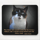 Recherche de félin tapis souris Calico