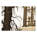 Suche nach vintages haus poster Elegant