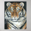Recherche de rayures tigre posters Animal