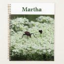 Suche nach insekt planer Blume