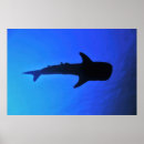Suche nach wal silhouette Natur