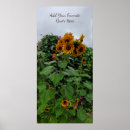 Recherche de sunflower photographie Jaune