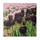 Suche nach purple fliesen Rosa