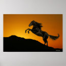Suche nach horse silhouette poster Reiter