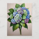 Suche nach vintage hydrangea postkarten Natur