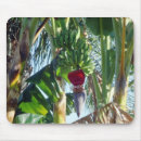 Suche nach bananen mousepads Tropisch