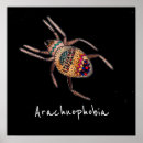 Recherche de araignee art Arachnide