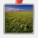 Suche nach vor kurzem ornamente Niemand