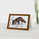Recherche de renard photographie Neige