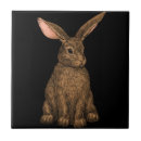Recherche de lapin sauvage carreaux Mignon