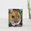 Recherche de puce vœux cartes Souris