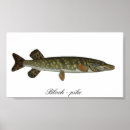 Suche nach hecht poster Angeln