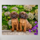 Recherche de marionnette posters Pour enfants