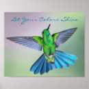 Suche nach grün blaue poster Kolibri