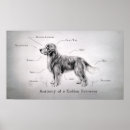Recherche de anatomie chien art Drôle