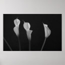 Recherche de fleurs noires et blanches posters Noir et blanc