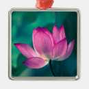 Recherche de nénuphar ornements Fleur