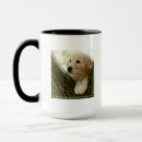 Recherche de images de chiot tasses Animaux