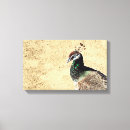 Suche nach peacock leinwandbilder Schön