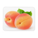 Recherche de abricots magnets Fruit