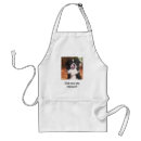 Recherche de de border collie tabliers Colley